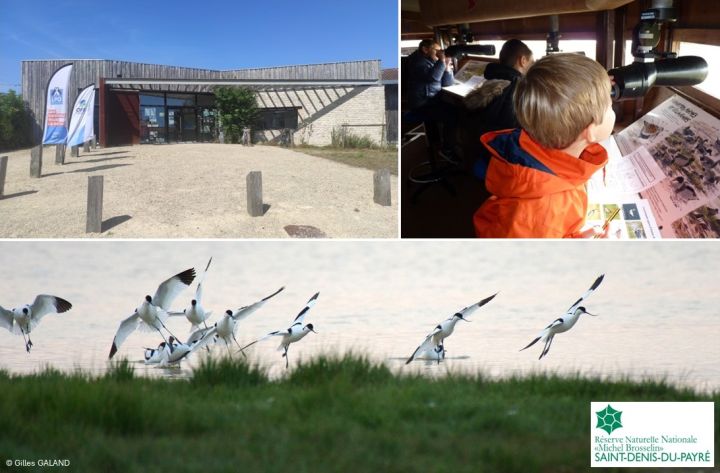 Visite guidée de la réserve naturelle